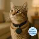 Smart Air Tag Rastreador | Chaveiro Rastreador.