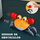 HF Caranguejo Fujão para o Desenvolvimento Infantil - Treslo Shop