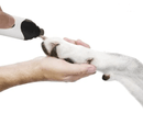 HOU-Lixador e Aparador de Unhas Pro Pet - LoPetz™ - Treslo Shop